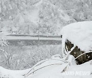 강원 대설특보 '눈폭탄'…도로와 탐방로 곳곳 통제