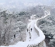 "눈길 조심하세요"…서울 동북·서남·서북권에 대설주의보