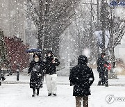 대설주의보