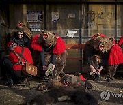 APTOPIX Romania Bear Ritual Photo Gallery