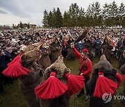 Romania Bear Ritual Photo Gallery