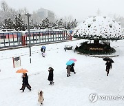 함박눈 내리는 화랑대 철도공원