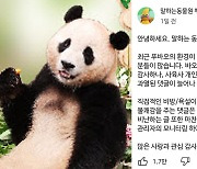 푸바오 사육사 향한 도 넘은 악플에 에버랜드 "삭제 조치"