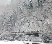 해맞이 명소에 15㎝ 쌓인 눈...국립공원 탐방로 여전히 출입통제