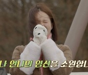 '놀던언니'의 새해 소망…채리나 쌍둥이 임신→이지혜 연기 재개