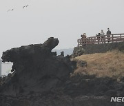 '갑진년 청용의 해 기다려요'