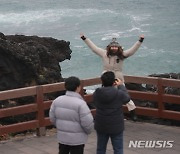 '갑진년 청용의 해 기다려요'