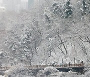 새해 첫날 동해안 눈·비 예보  '해맞이 안전 주의보'