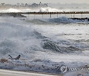 High Surf West Coast