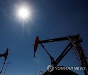 美 셰일오일 대규모 증산…OPEC 감산 무력화해 유가 하락