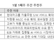 2024년도 주도주를 찾아라... AI·자율주행·로봇주 ‘주목’ [株슐랭가이드]