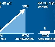 새해 반도체 시장 패권 '3C'에 달렸다