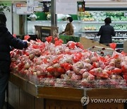 새해에도 '金사과'…명절 앞두고 더 오를 듯