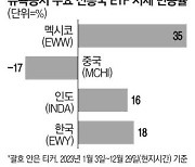 "美 인접국 효과 셌네" 멕시코 ETF 35% 껑충