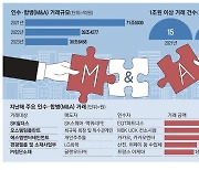 [레이더M] 1조이상 대형M&A '반토막'… 삼일PwC 재무·회계자문 2관왕