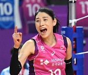 ‘7시즌 연속 챔피언결정전 진출 도전’ 배구여제 김연경, 갑진년 청룡의 해 빛낼 용띠 스타들