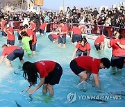 강원 평창·홍천·화천 '물고기 축제장' 수질 청정