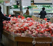 사과·배 등 주요 과일 가격 강세 이어진다…대파도 비싸