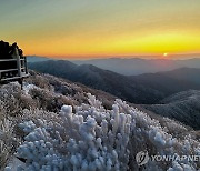 지리산 노고단 새해 일출