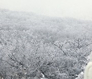 [오늘의 날씨]제주(2일, 화)…산지에 새벽까지 1㎝ 눈