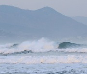 “日 강진, 동일본대지진과는 달라”...한반도 영향 크지 않을 것