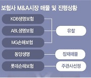 우량 매물 속속… 작년 ‘0건’ 보험사 M&A, 올해는 다를까