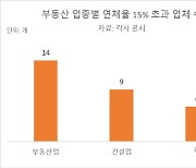 부동산 쏠림으로 저축은행 건설업 연체 30%까지 올랐다