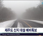 제주도 산지 대설 예비 특보