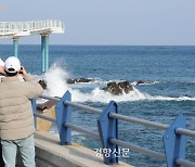 해일에 조마조마, 독도에 부글부글···일본 쓰나미에 ‘깜놀’ 새해