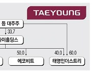 "대주주 자구책 의구심"…태영 워크아웃 난항