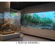 "벽 만지면 가상의 숲이"…국립생물자원관 '생생채움' 새단장