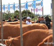 축산 악취 해결…제주시 실시간 모니터링 시스템 확대