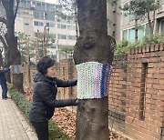 서울 광진구, 나무에게 전하는 따뜻한 손길··· 가로수 ‘장미 뜨개옷’ 입히기