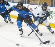 PWHL New York Toronto Hockey