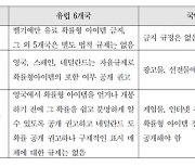 서유럽 6개국 살펴보니…"게임업계 자율 심의·규제 정착"