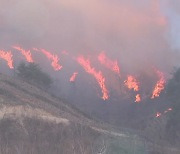 선거 있는 짝수해 대형산불 악몽...'산불 예방'으로 시무식