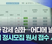 대입 정시모집 원서접수 시작···"맞춤형 전략 세워야"