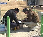 [단독] 지하수도 ‘출렁’…일본 동·서 지진 모두 한반도에 영향