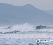 동해안 '지진해일 긴급대피장소' 일제 점검…공무원 교육 병행