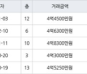 수원 화서동 화서역 블루밍푸른숲아파트 59㎡ 4억4500만원에 거래