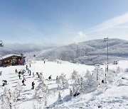 "취향대로 골라봐요"···하이원리조트, 조식·혼캉스 등 할인 패키지 판매