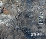 [단독] 서울시, 남산 곤돌라 장점만 나열한 ‘답정너 설문조사’