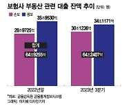 PF 부실 '아슬아슬'한데…부동산 대출 늘린 일부 보험사들