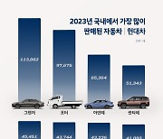 현대차, 전 세계 판매량 6.9% 올랐다 효자 모델은 ‘또, 이 차입니다’