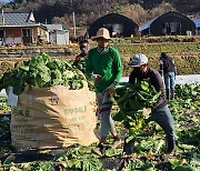 "농가 일손 도와요" 괴산군 올해도 공공형 외국인 계절근로사업