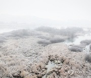 소양강 겨울 왕국