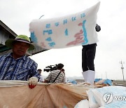 '주7일·월 202만원' 염전 구인 논란에…노동부 "공고 전수조사"