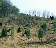 정읍시, 임산물 경쟁력확보 나서…산지자원 특화사업 공모 접수 시행