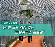 [하루만보 하루천자]눈·비 와도 걱정 없는 '비닐하우스 황톳길'