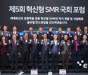 “세계 통용 SMR 인허가 기준 선점해야”